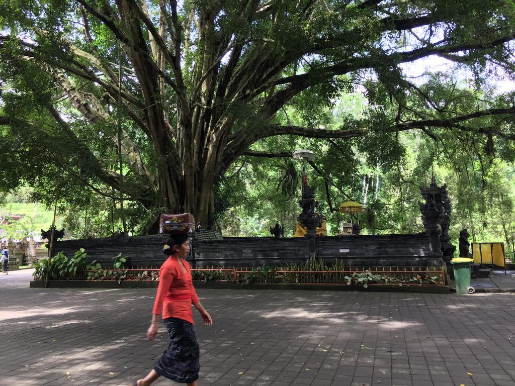 The Suris Ubud Exterior foto