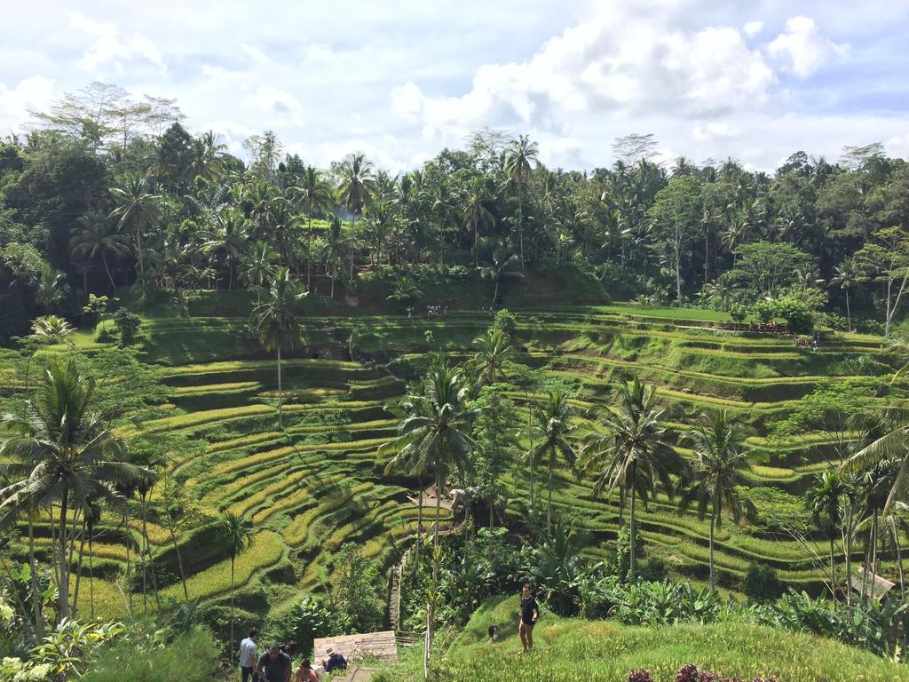 The Suris Ubud Exterior foto